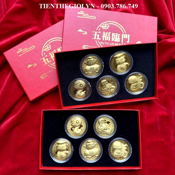 Hộp Quà Tặng 5 Đồng Xu Hình Con Rắn Mạ Vàng May Mắn